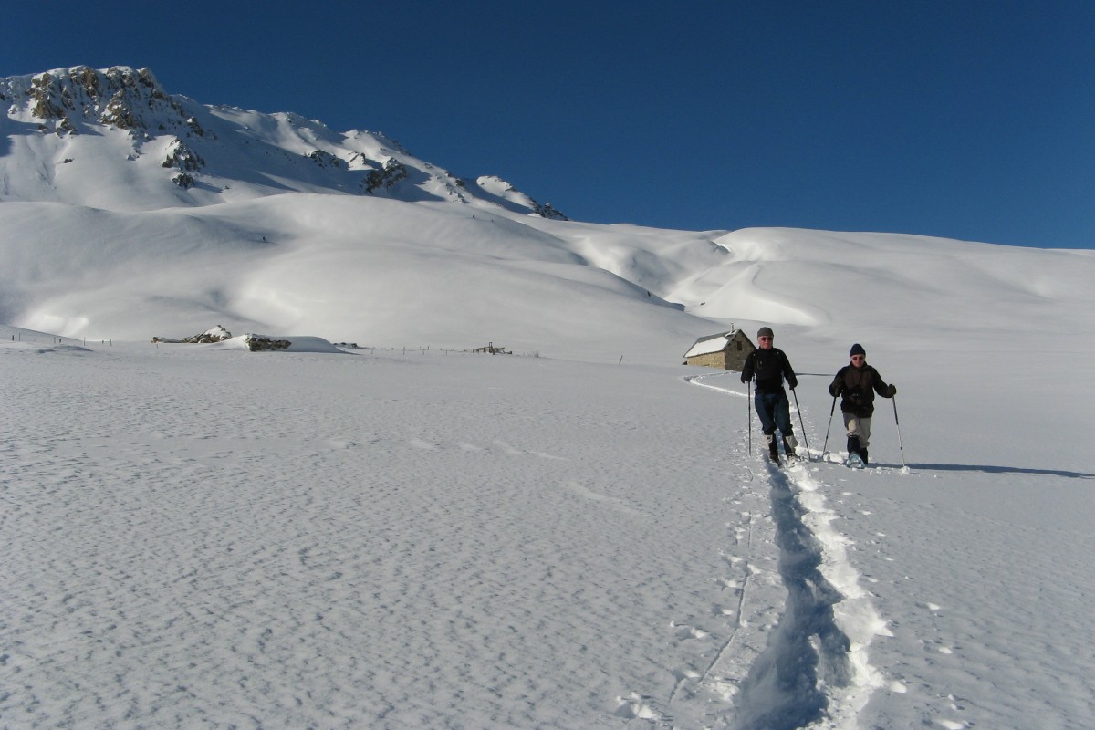 IMG 0288