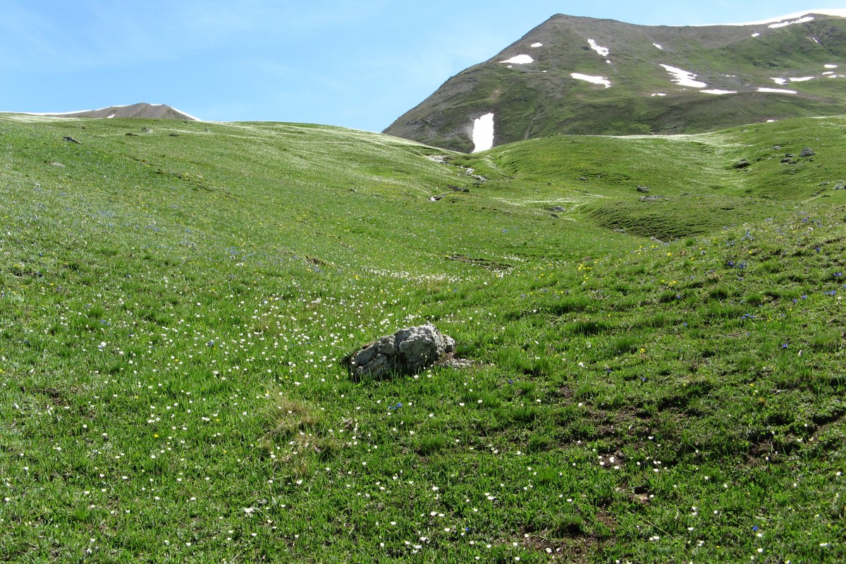 IMG 0865