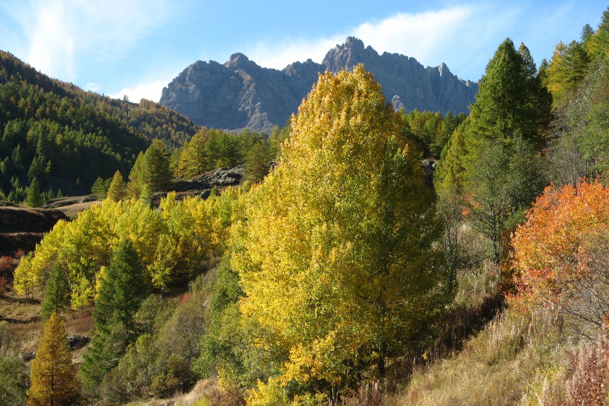 vue ht vallée