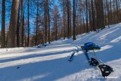 ascension piste noire la forestiere nordique nevache