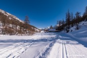 fruitiere en vue descente nordique nevache