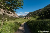 granges vallee etroite nevache arbre feuilli