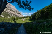 granges vallee etroite nevache chalets les serres clairiere