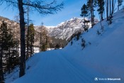 la forestiere balcon vallee nevache nordic