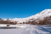 lac arsine gele