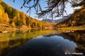 lac orceyrette sous le meleze