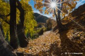 lac roche rame berges feuilles mortes