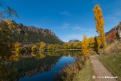 lac roche rame peuplier