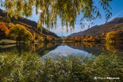 lac roche rame saules saule verdure soleil
