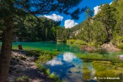 lac vert vallee etroie nevache berges