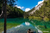 lac vert vallee etroie nevache bois troncs