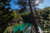 lac vert vallee etroie nevache vue a travers melezes
