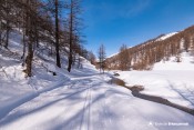 le long claree haute claree nordique nevache