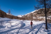 les planchettes nordic nevache vue cerces