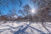 paysage enneige vallon arsine