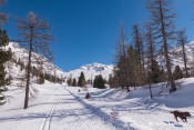 piste nordique izoard refuge izoard en ligne de mire