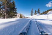 spatules nordique cervieres laus