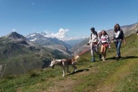 cani rando640