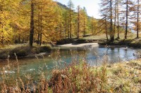 clarée